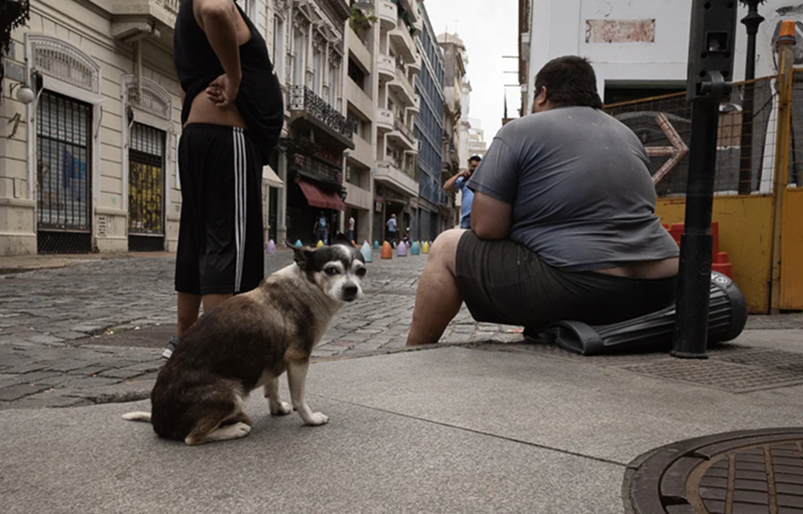 Banco Ciudad premia las mejores fotos de Buenos Aires: "La rural 2" de Irina Werning fue la ganadora